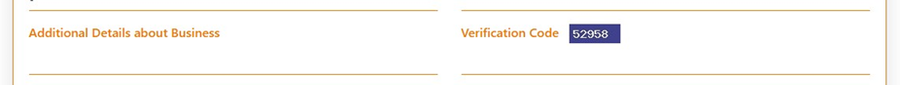 Enter additional details and verification code